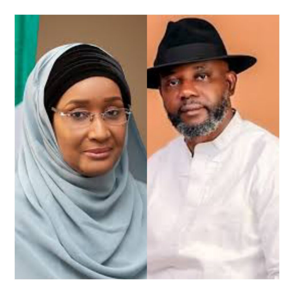 Bayelsa flood: APC chieftain, Nabena tackles Humanitarian minister over comments