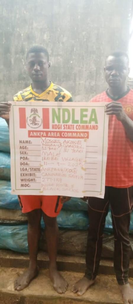 NDLEA confisticates illicit drug consignment at MMIA, intercepts 5 pregnant teenage girls