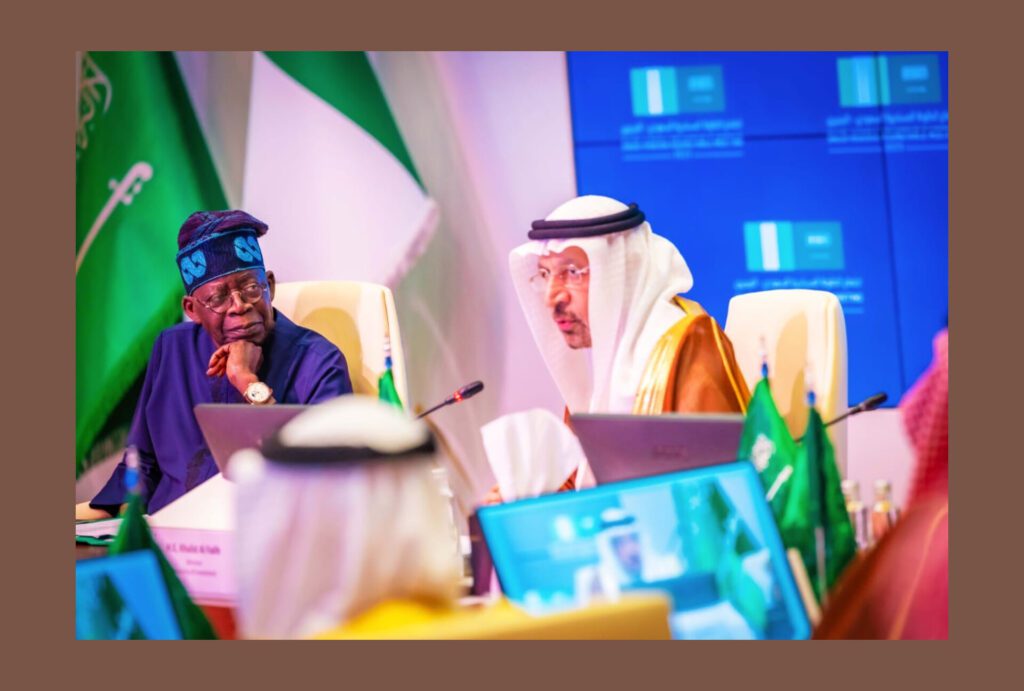 President Tinubu: Stunts Of The Salesman
