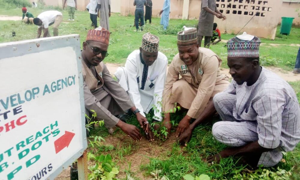 Climate Change: JGSG, UNICEF launch Massive Tree Planting along Niger/Nigerian Boarder