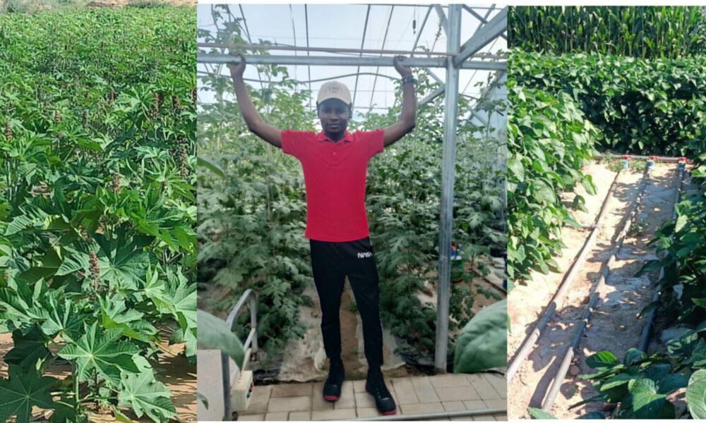 Field Experience at Shiyang River Basin of Gansu Desert, China