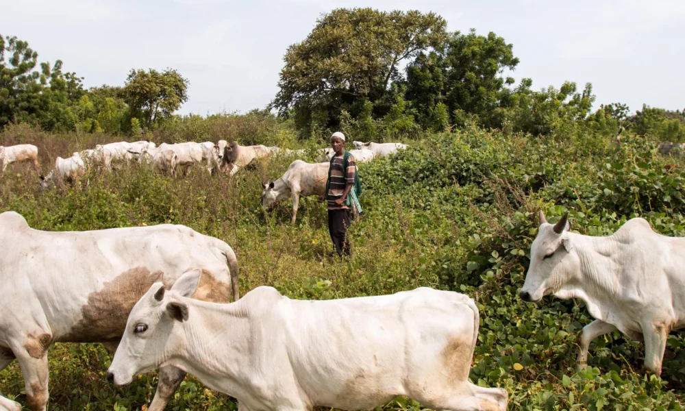Violent clash erupts in Niger State, leaves in its trail death, destruction