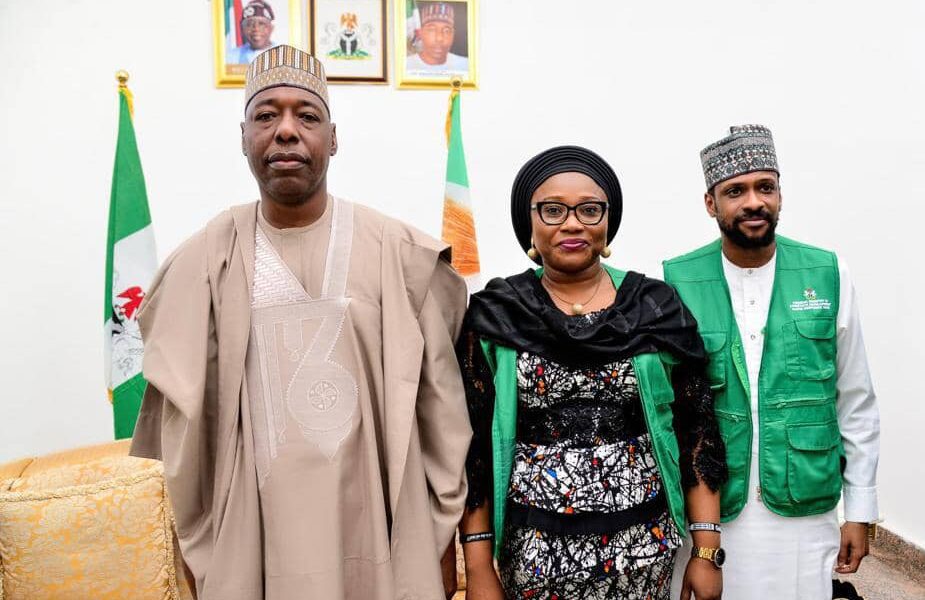 FG commences Assessment of Borno Flooding Impact on Livestock Sector