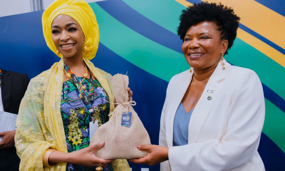 G20 Ministers of Culture Meeting in Brazil: Musawa Leads African Union Delegation