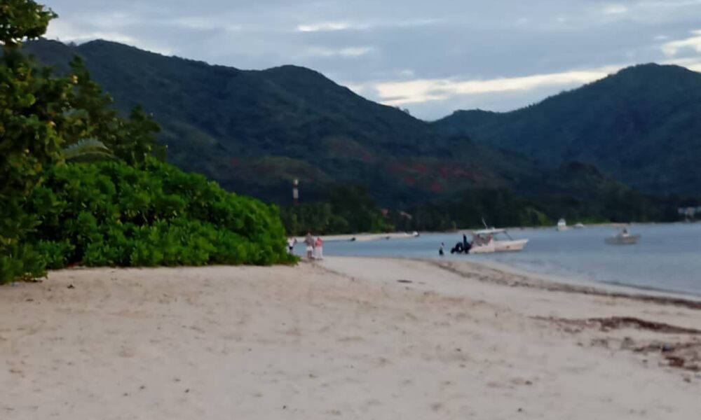 Island of Harmony: Praslin, Seychelles, Where Humans and Animals Coexist in Perfect Peace