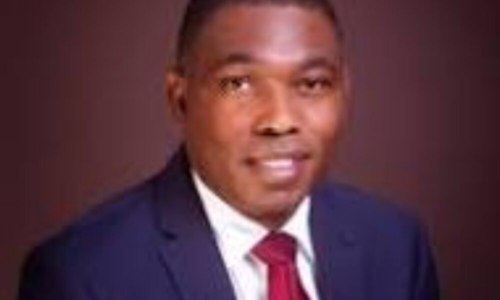 2025 Budget: Bigger, But Worse? Adebayo Warns of Economic Fallout