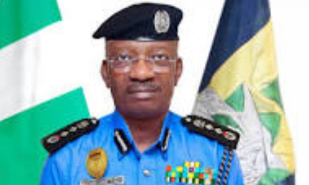 Is IGP Egbetokun a Pretender to the Throne?