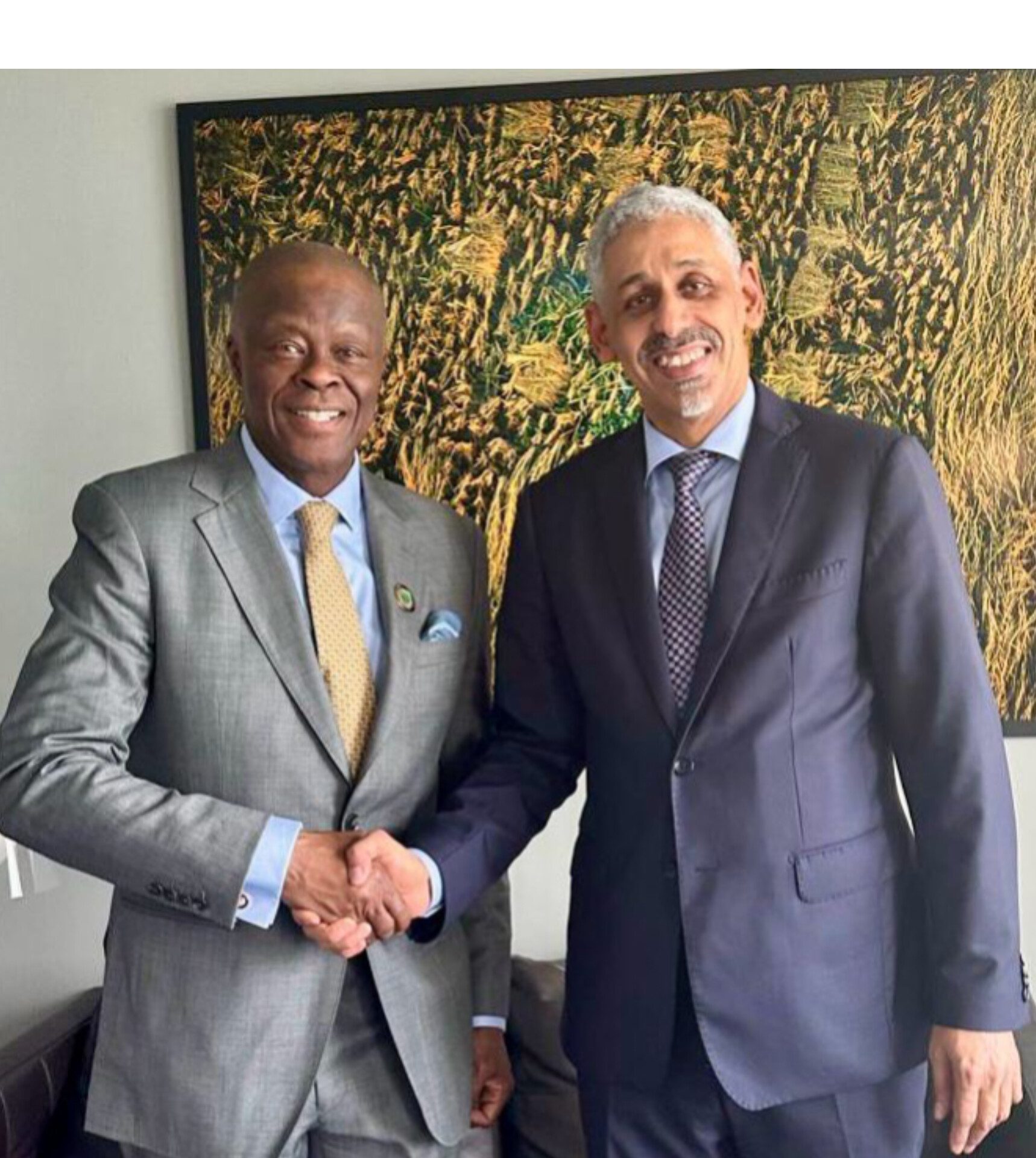 Nigeria Rallies Africa Behind AfDB President-Elect as Wale Edun Leads Diplomatic Front