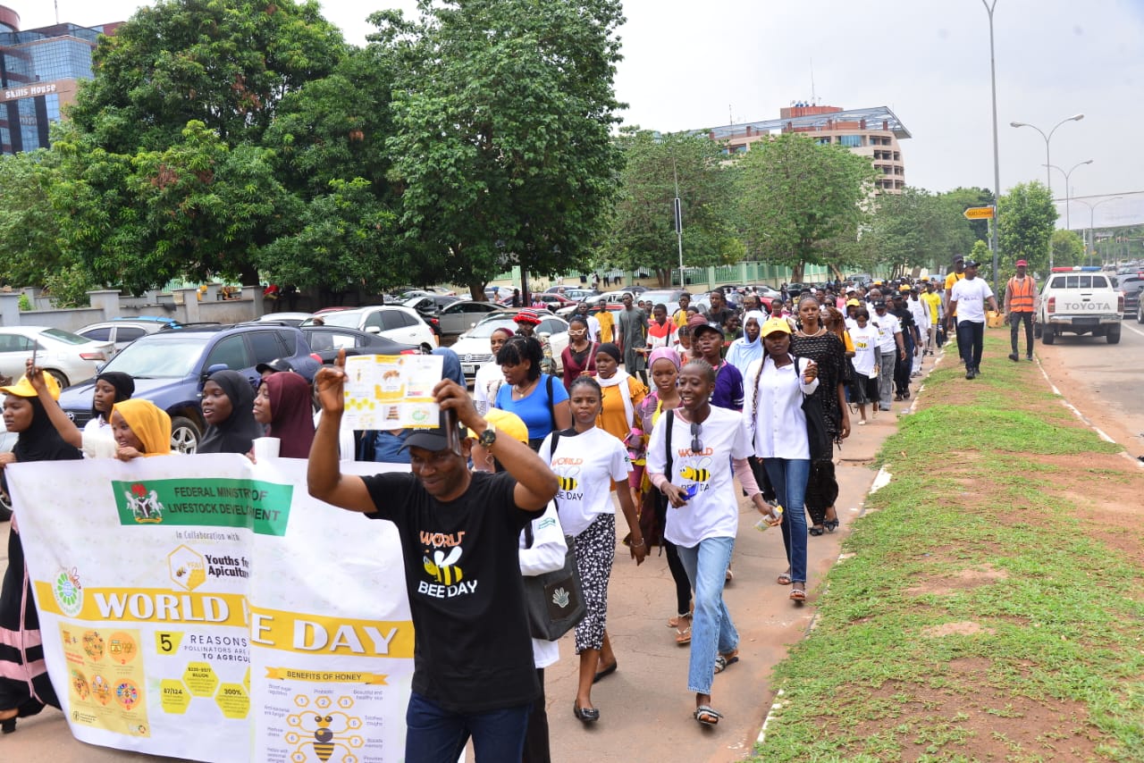 Nigeria’s $3bn Honey Deficit: Government, Youths Unite to “Bee the Change” on World Bee Day