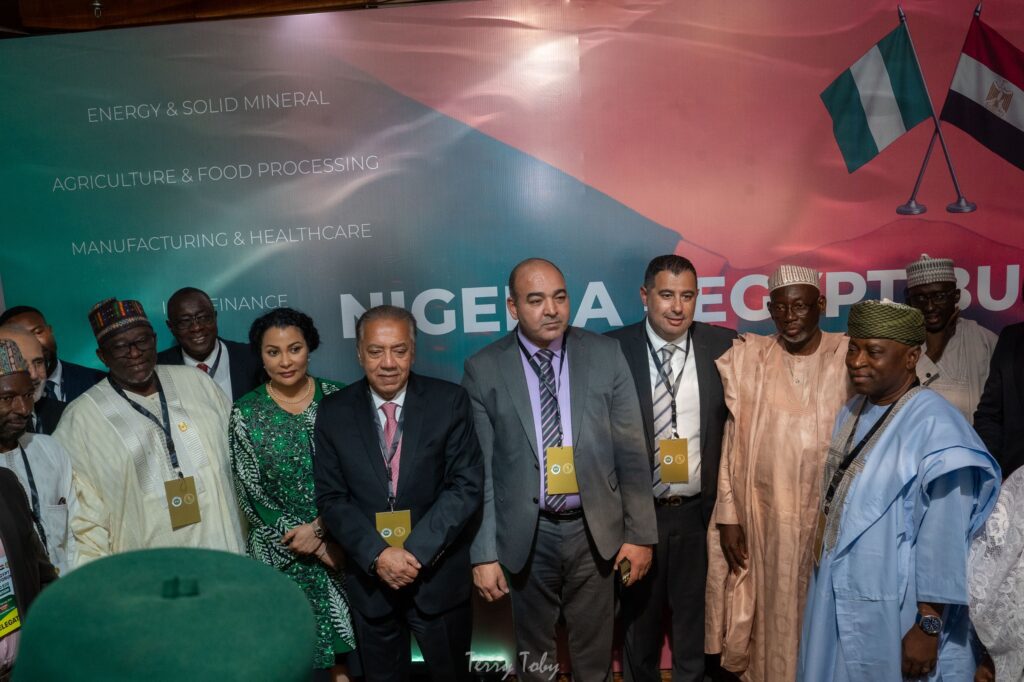 Nigeria, Egypt to Establish Joint Investment Council to Boost Economic Ties