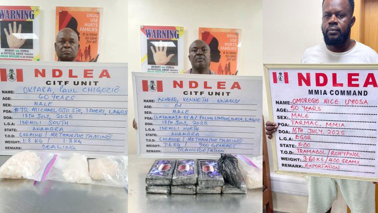NDLEA Nabs Drug Kingpin After 7-Year Hunt, Dismantles Global Network