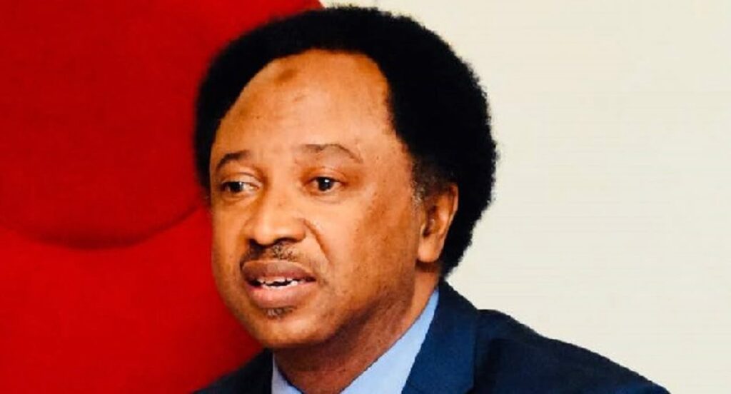 Shehu Sani says, Natasha’s Return to Senate Uncertain if Court Must Decide
