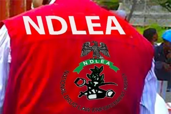 Digitalised NDLEA and Worries about Drug Abuses