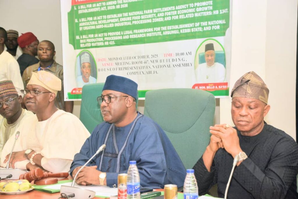 Minister Calls for Sustained Funding to Boost Rice Yield, Bridge Nigeria’s Food Gaps