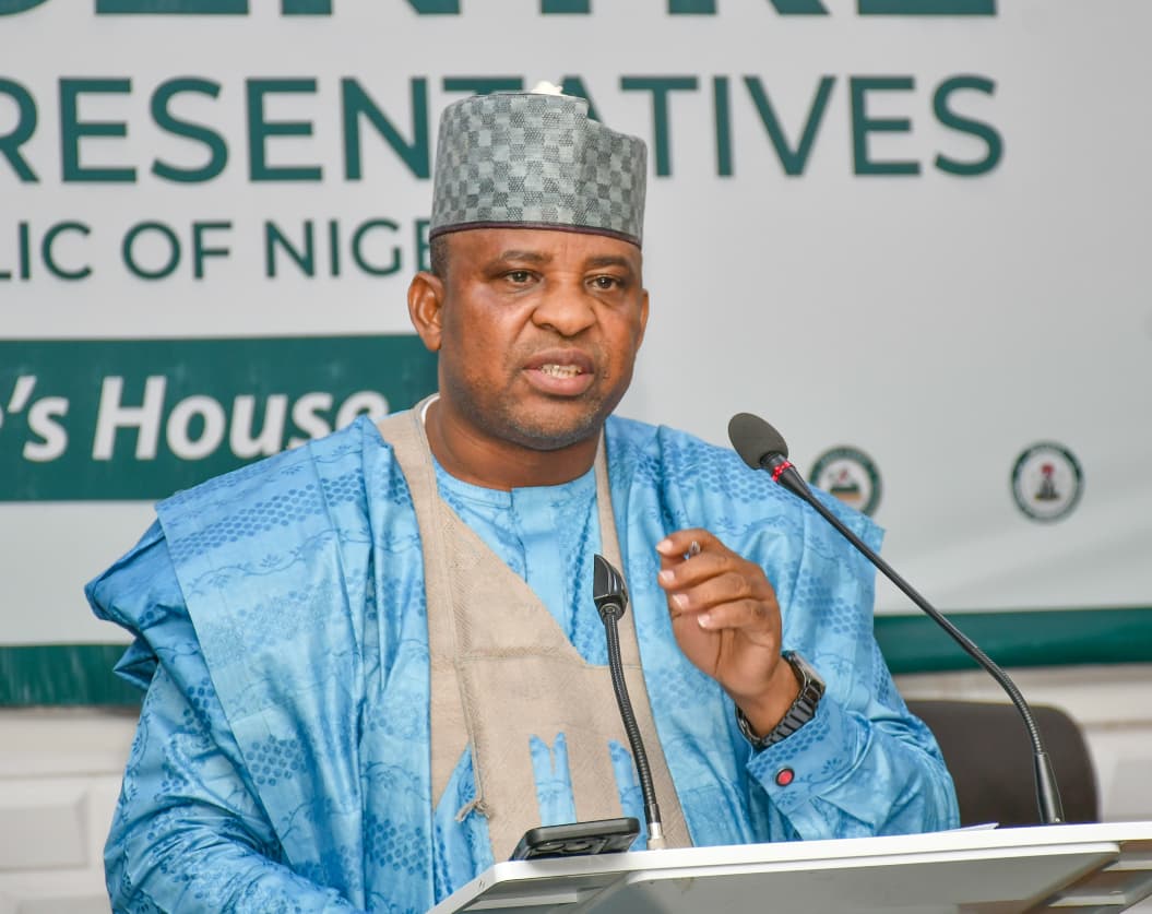 Banditry: Niger Rep Seeks Urgent FG Intervention to Save Lives in Borgu, Agwara