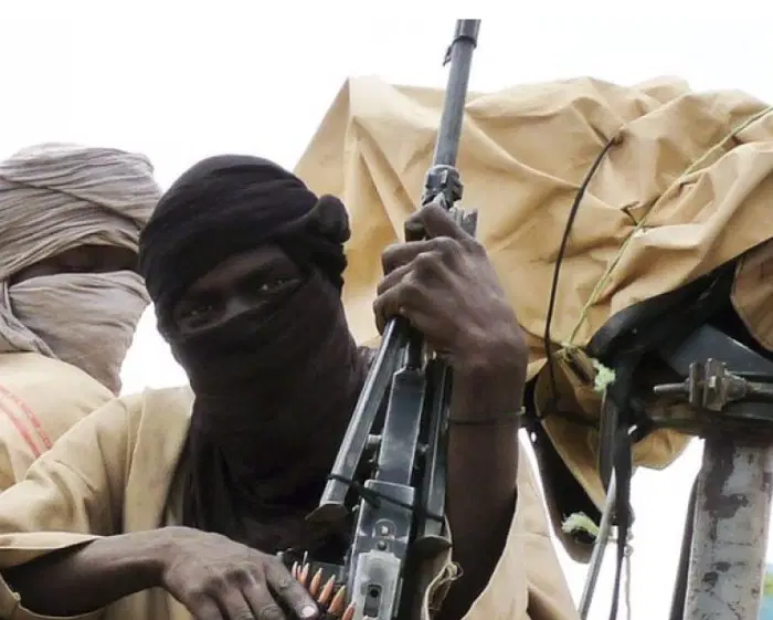 Bandits Raid Niger Communities: 24 Abducted, Blind Man Maimed