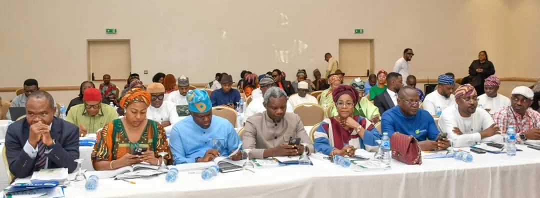 National Assembly, State Speakers Close Ranks as Constitution Review Hits Final Stretch