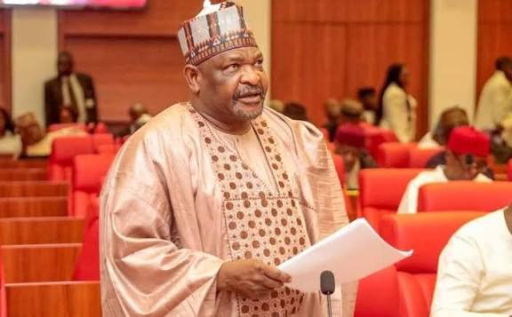 Ningi Warns Against Normaliszng Foreign Military Strikes