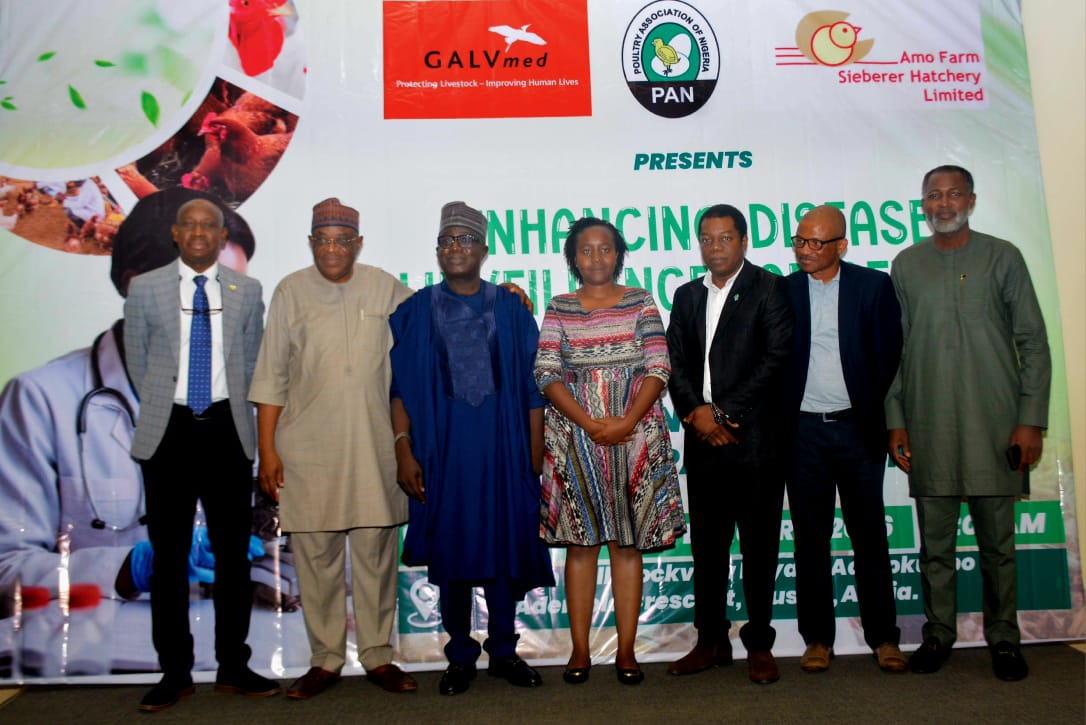 FG Steps Up Poultry Disease Surveillance to Protect Farmers, Food Security