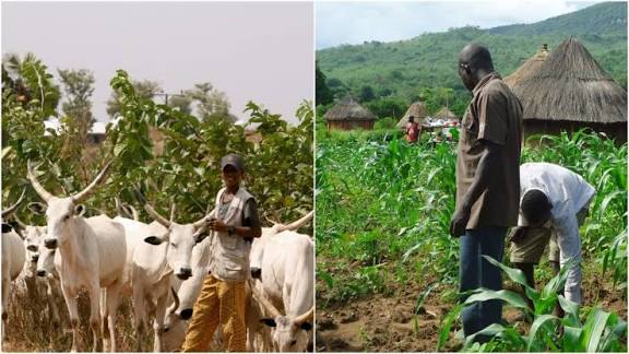 Farmers–Herdsmen Clash: Ukomu Igala Organization Calls for Urgent Peace in Ibaji