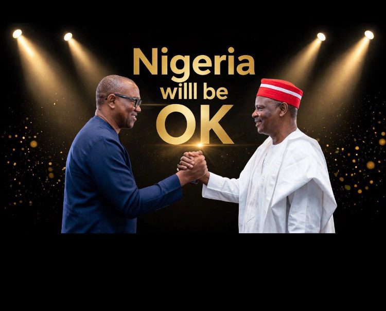 NDC pushes Obi-Kwankwaso alliance as 2027 opposition realignments intensify