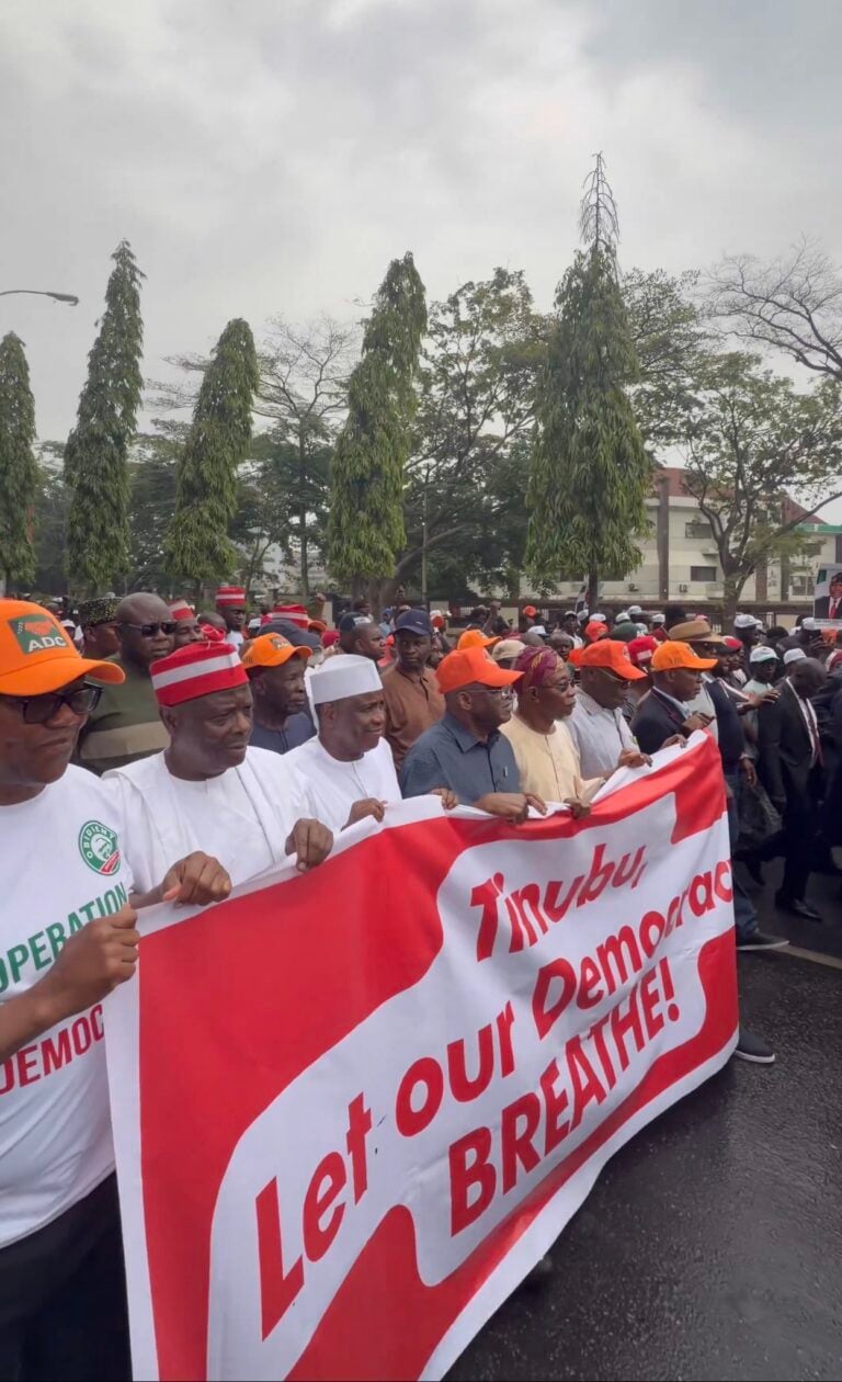 Opposition leaders rally in Abuja, demanding justice, democratic accountability