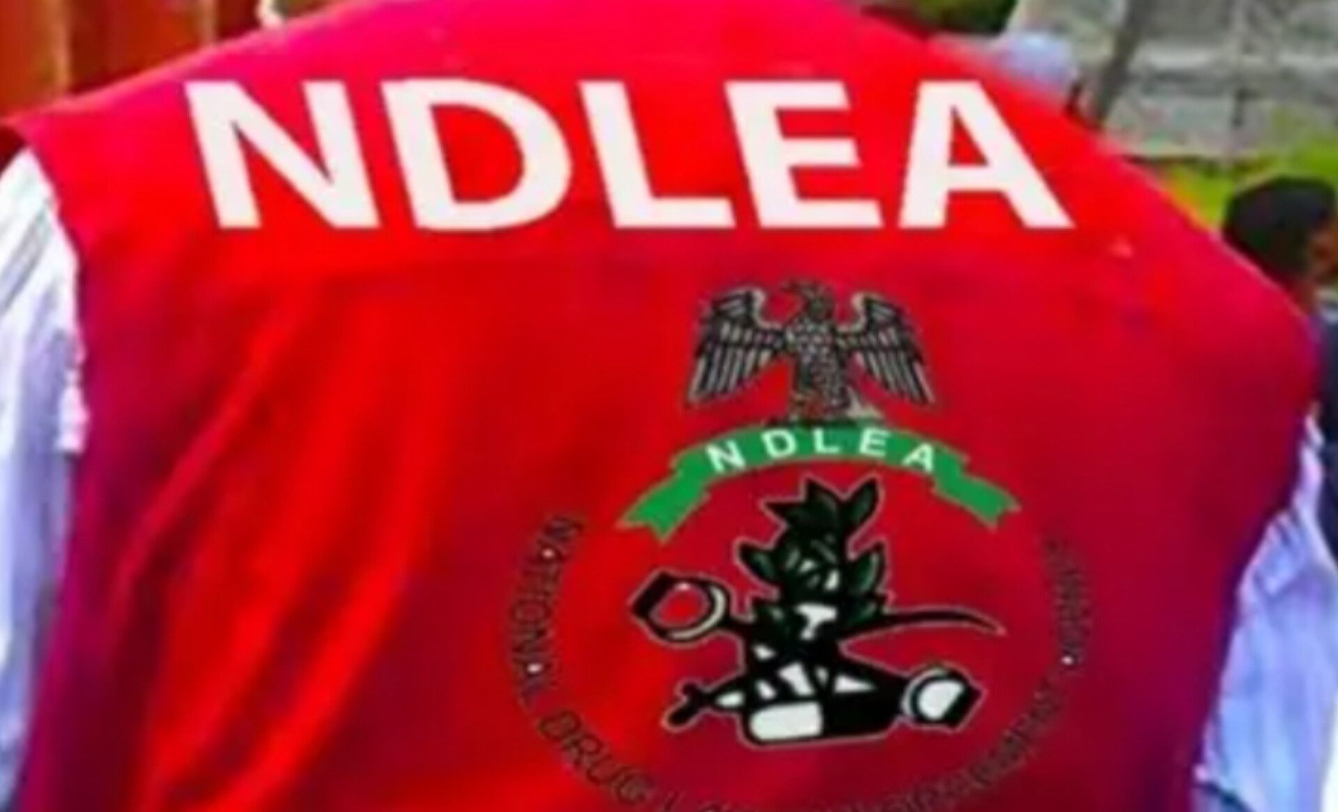 NDLEA’s 974 convictions show strength, but intelligence reforms remain essential