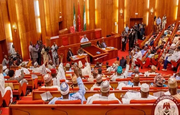 Senate Pushes Police Trust Fund Reform, Debate Deepens Over 1% Revenue Allocation