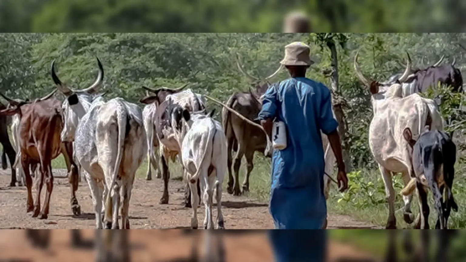Rising Rural Anxiety in Kogi East as Unidentified Groups Trigger Security Concerns