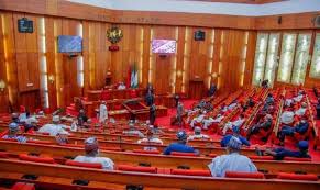 Xenophobic attacks: Uproar in Senate as lawmakers call for Diplomatic Action