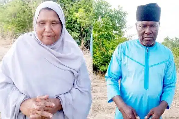 Abducted former Defence spokesman Rabe Abubakar dies in bandits’ custody
