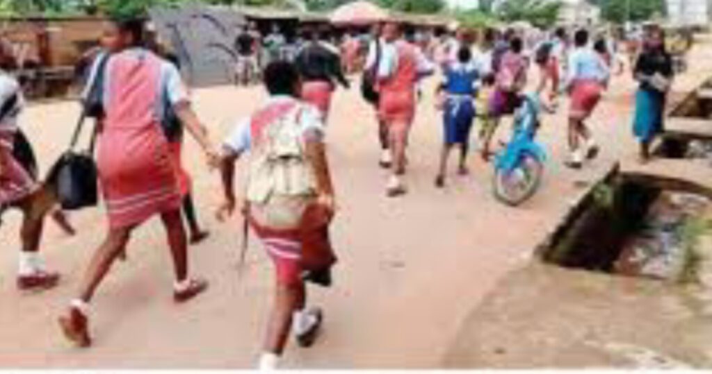 False Kidnap Alarm Throws Niger Into Chaos, Empties Schools