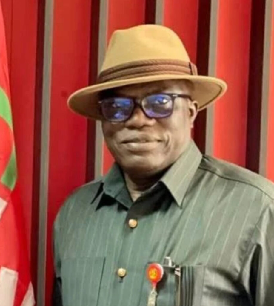 Imasuen earns prestigious African governance honour at House of Lords Writing