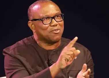 Obi Takes On Ethnic Stereotyping, Says Criminals Must Not Define Entire Communities