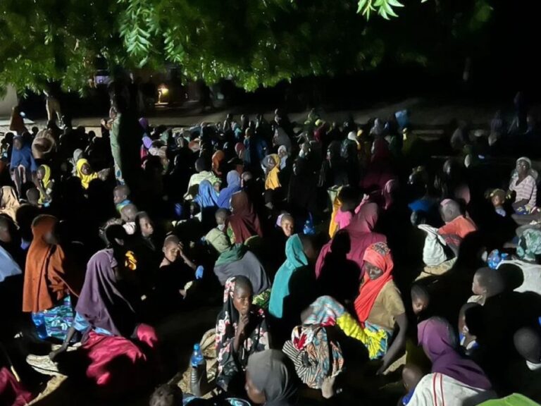 Troops Rescue 360 Hostages In Major Borno Mountains Operation