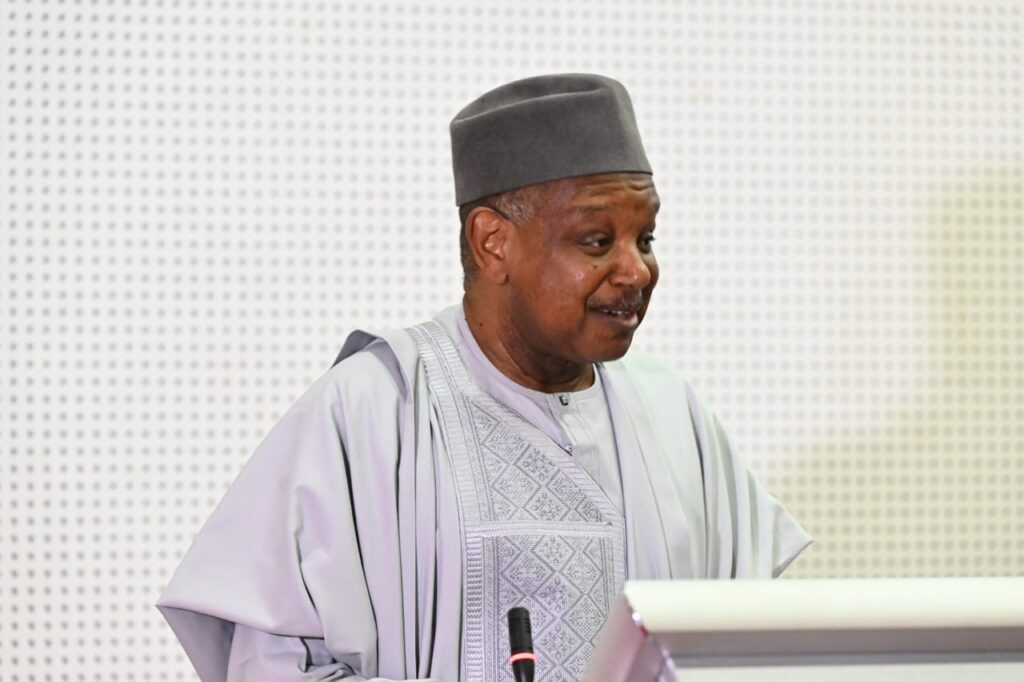 Bagudu: Nigeria Needs Bigger Budget to Match Development Ambitions