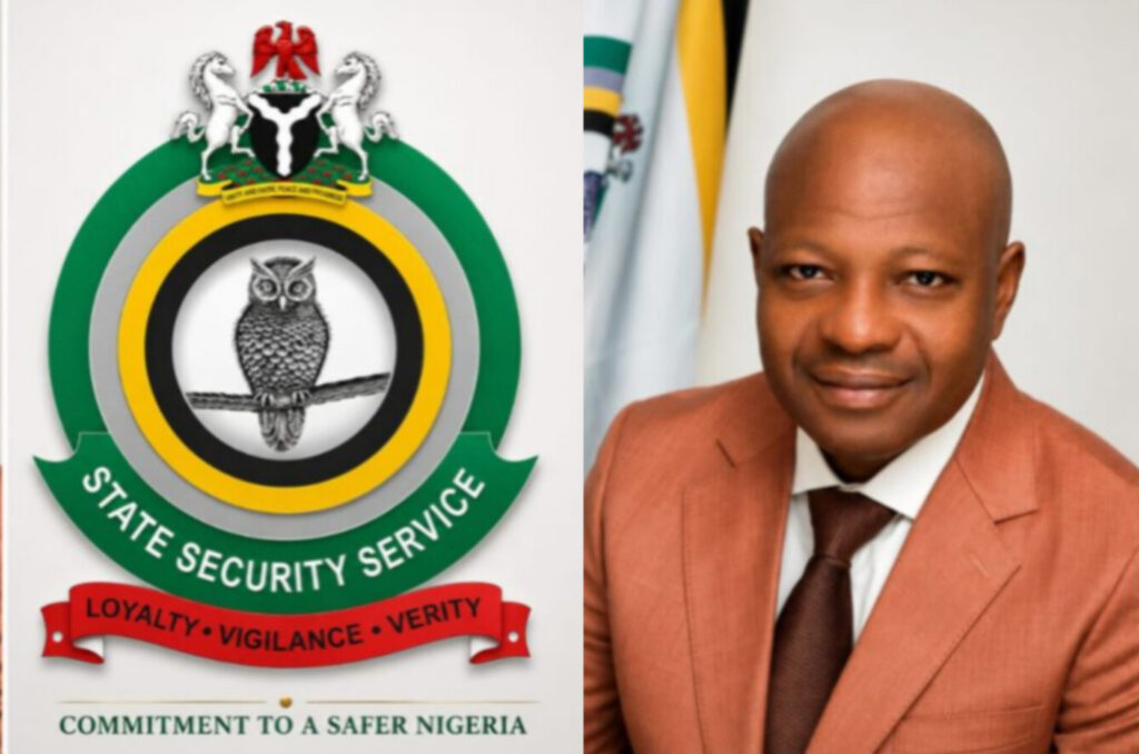 Tinubu orders DSS to secure candidates ahead of 2027 elections